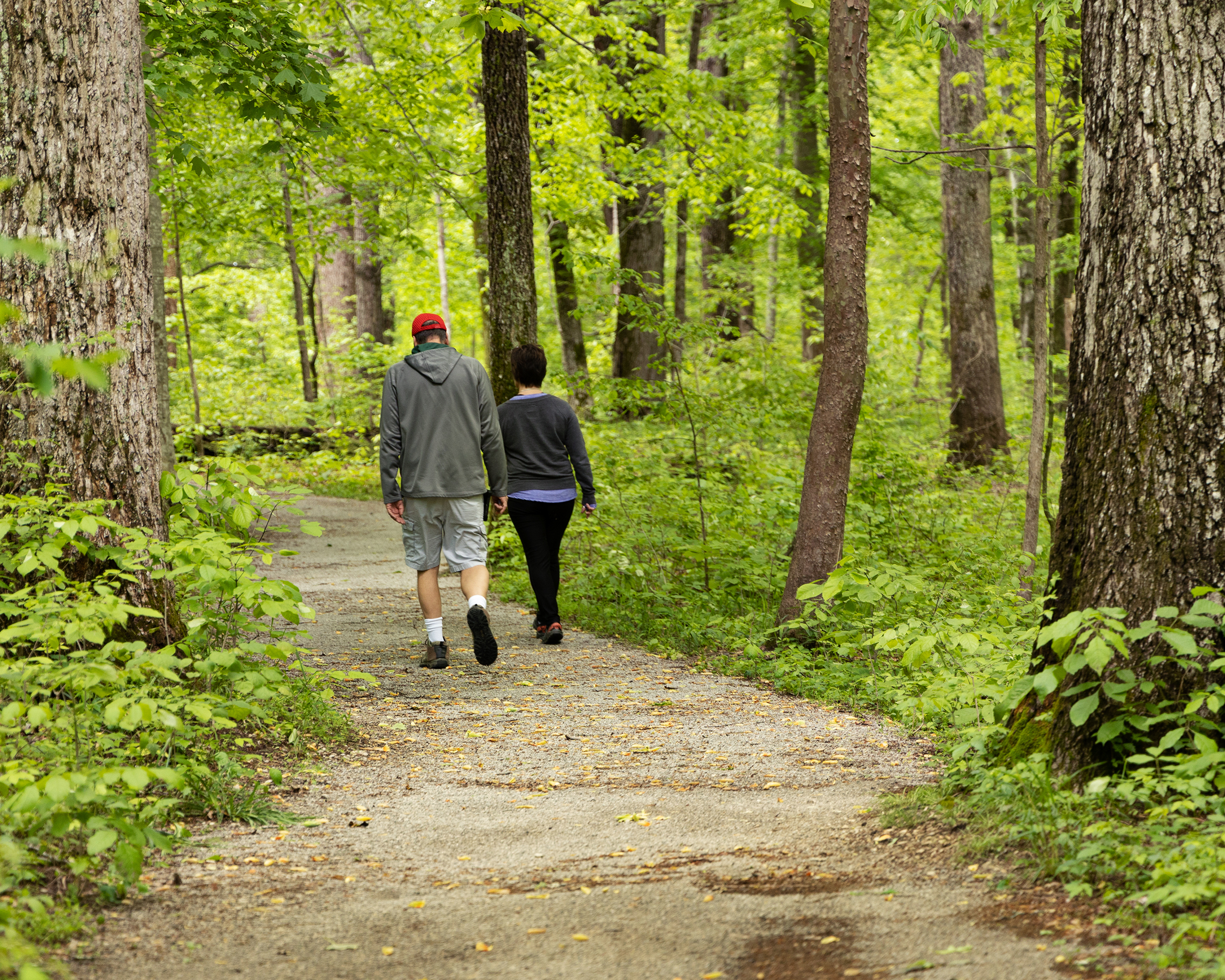 Couple on Mammoth Cave Hiking Trail.NPS Photo Two people walk on a gravel dirt trail in a green forest.