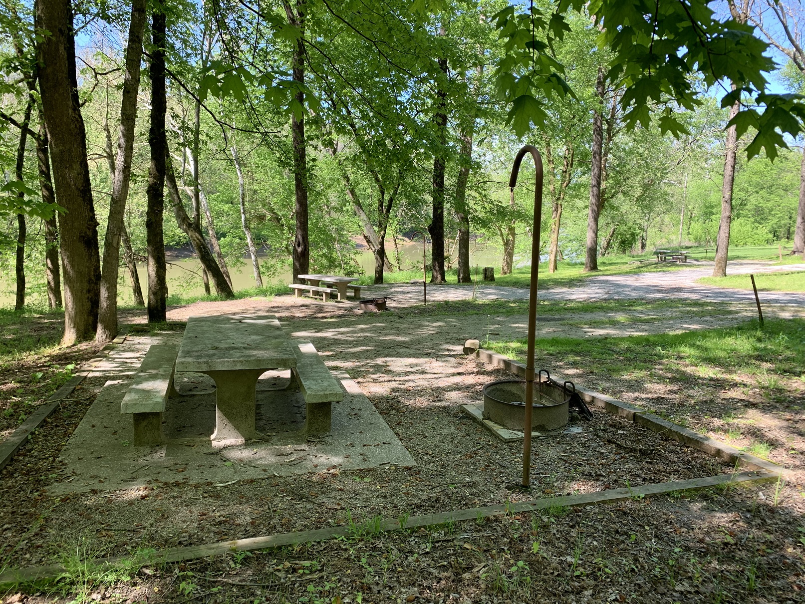 Houchin Ferry Campground with Views of the Green River A forested Campsite with picnic tables and fire rings sit in front of a brownish green river in the background.