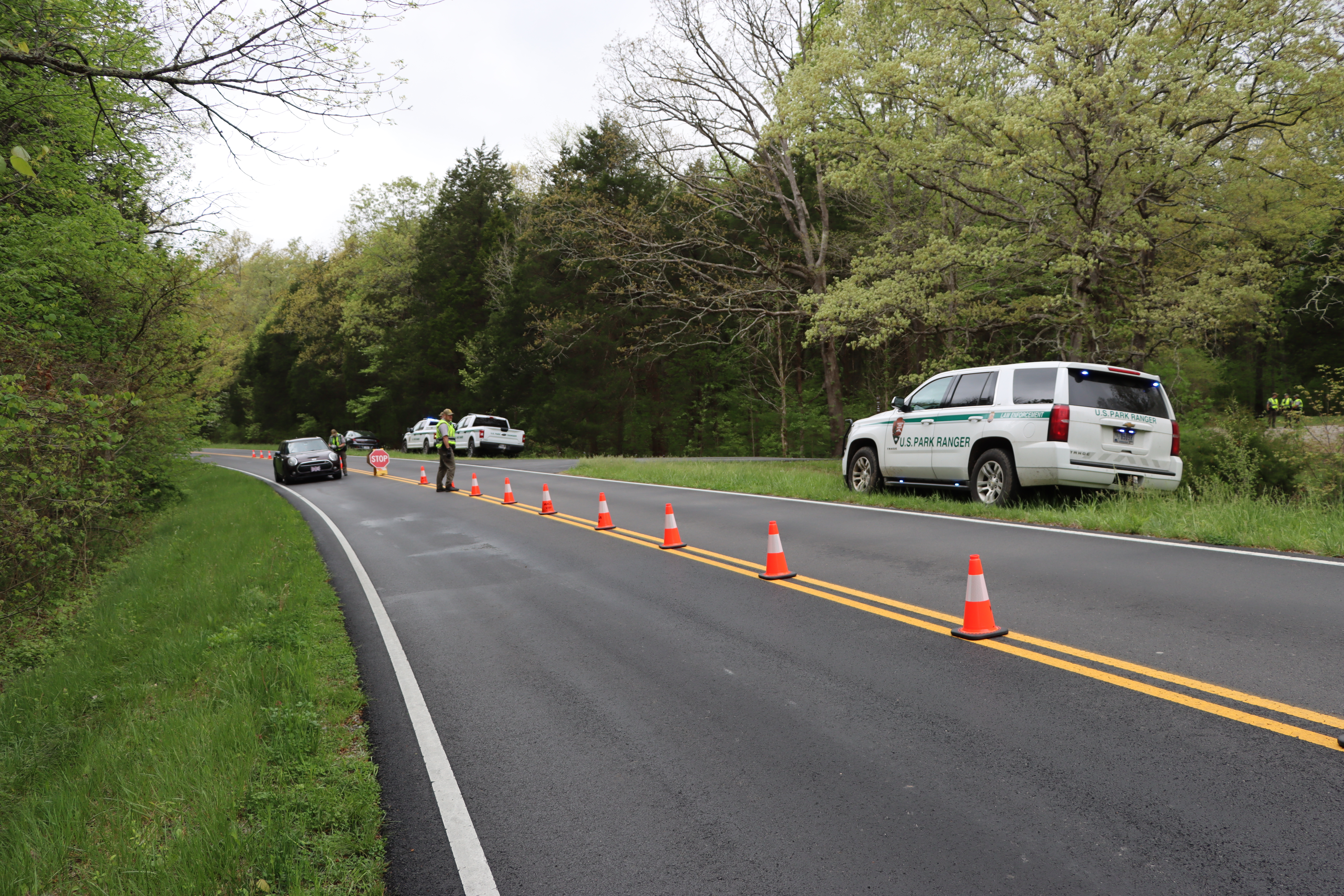 Trees surround a roadway divided by orange cones with vehicles and law enforcement patrol vehicles parked along the roadside. Officers wearing NPS uniforms approach a parked vehicle.