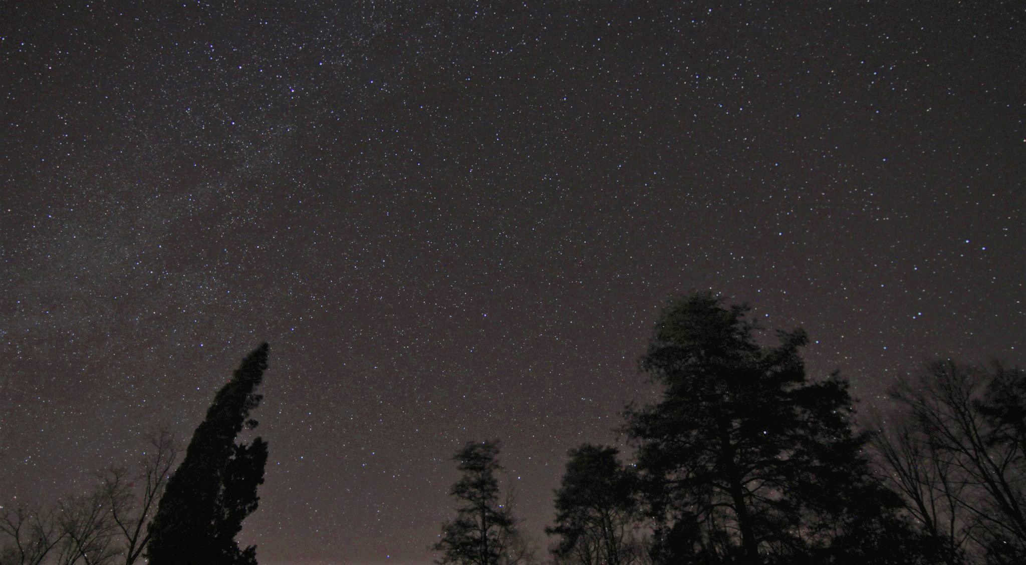 Thousands of tiny stars are seen on a dark sky with trees silhouetted in the foreground.