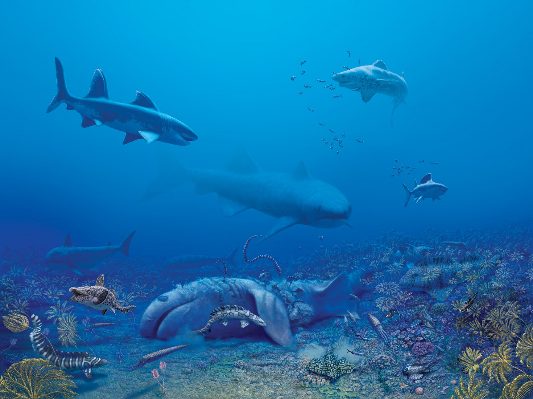 The Mississippian (325 myo) ancient sea and marine life preserved at Mammoth Cave National Park. Credit: Julius Csotonyi mural of prehistoric sharks swimming in a blue sea