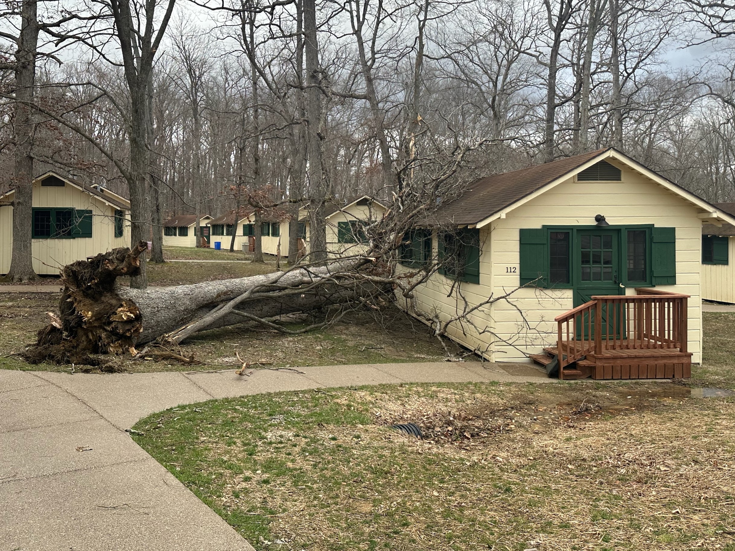 A large uprooted tree sits on top of a yellow and green cabin.