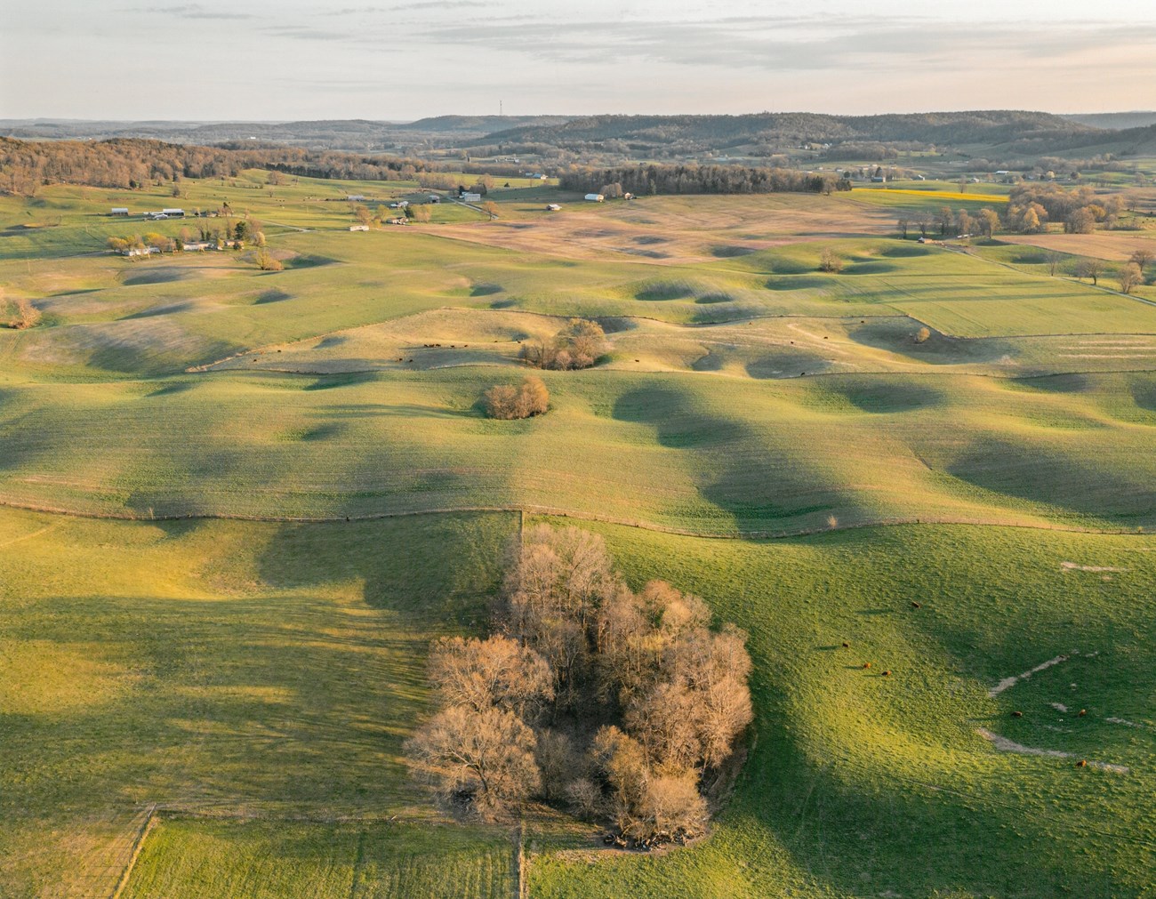 Aerial photo of green rolling hills and valleys of farm fields. Houses and muted green trees dot the landscape, the horizon in the distance and a pale gray sky lays in the background.