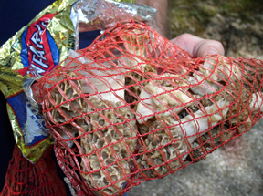 mushrooms in mesh bag