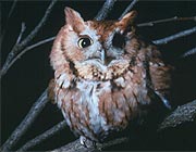 Nature and Science