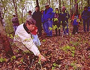 On a wildflower walk with a naturalist