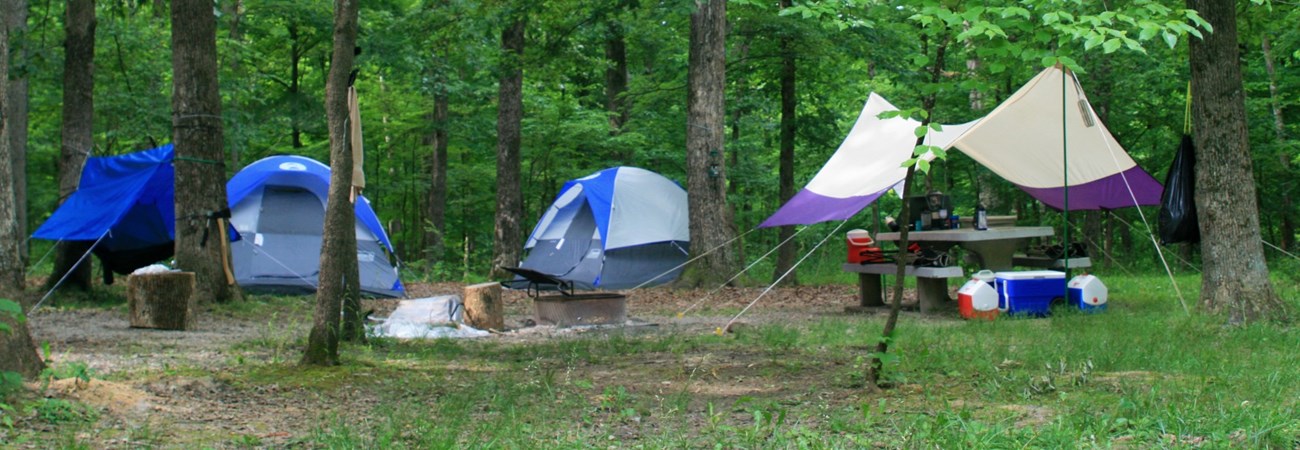 Campsite with tents.