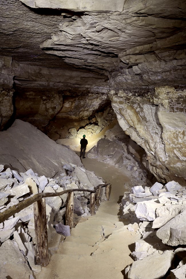 A set of rough stone steps leads to a cave passageway where a caver stands in the distance.