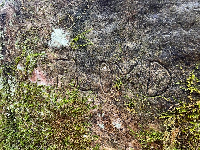 "FLOYD" etched into a rock covered in green moss