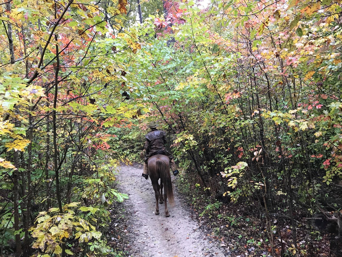 A horse and rider on a dirt trail through fall foliage.
