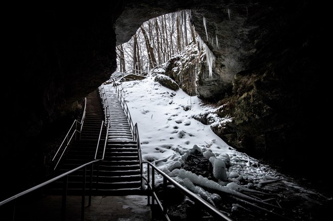 Looking out the historic entrance of the cave