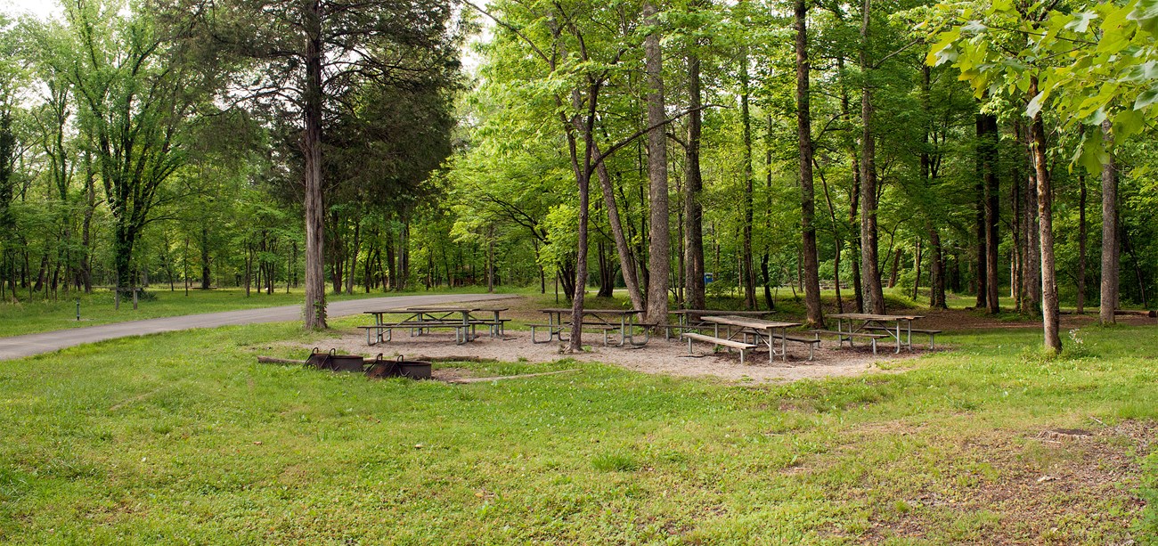 A campsite at Maple Springs Group Campground with picnic tables and two fire rings in the woodland.