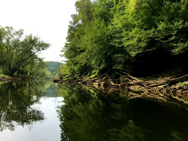 Nolin River Nolin River