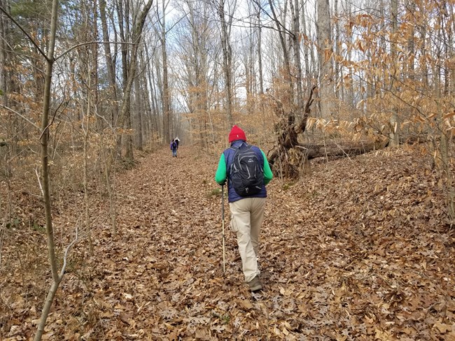 Two people hiking on a trail covered in leaves.