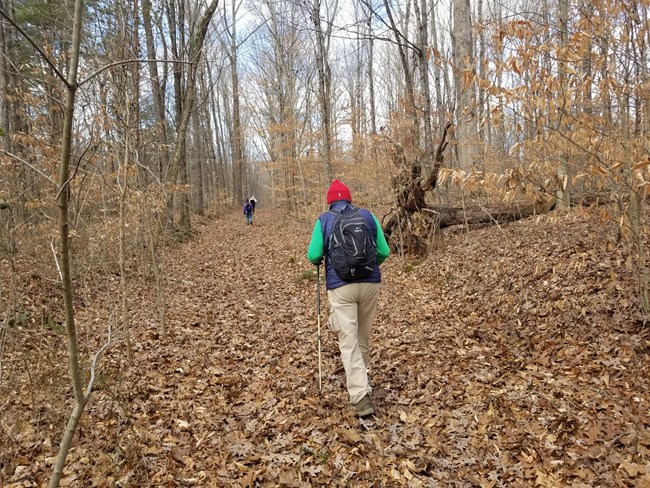 Two people hiking on a trail covered in leaves.