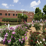 "I Have A Dream" rose garden and the National Park Service visitor center.