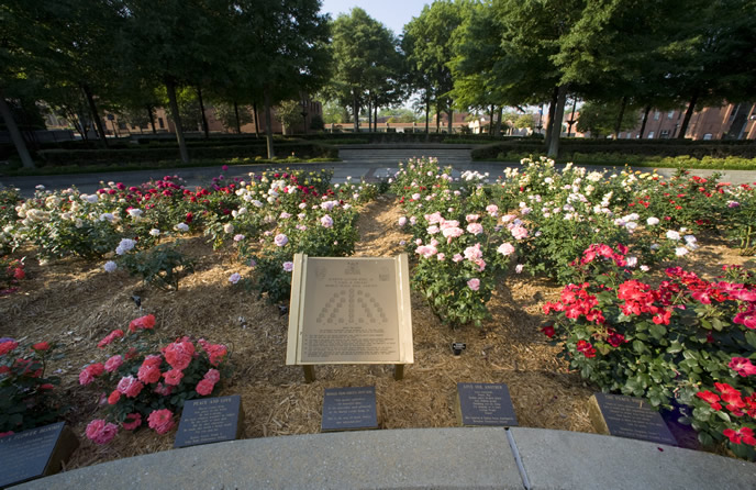 The Martin Luther King, Jr. "I Have A Dream" Rose Garden