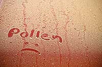 The word pollen is written in the poleen on a red car.