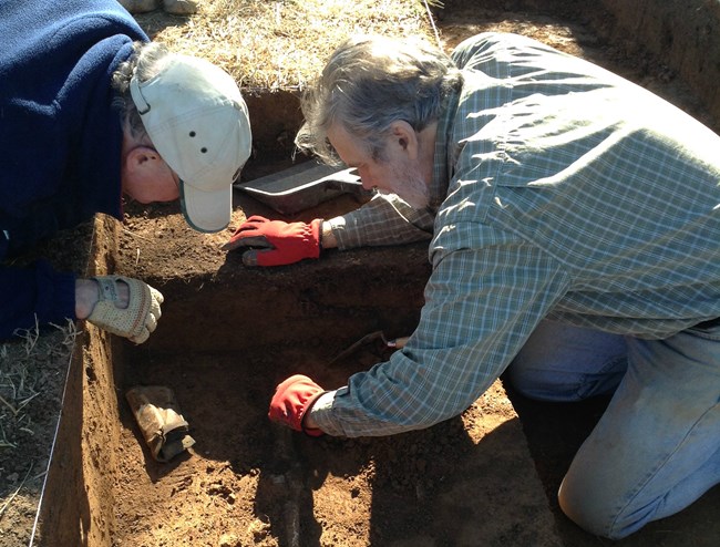 Archeologists crouch over a bone embedded in the dirt