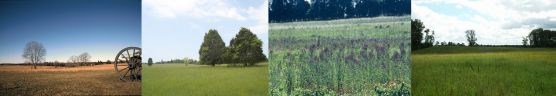 Manassas National Battlefield Park