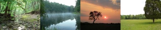 Natural Features and Ecosystems Natural Features and Ecosystems