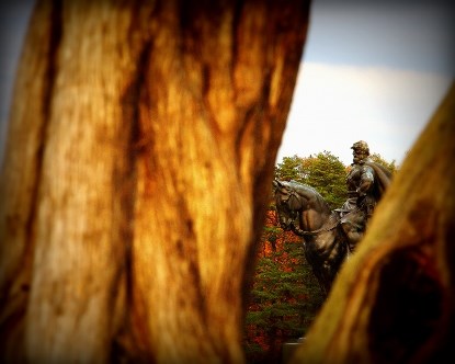 Eastern Red Cedar at Visitor Center