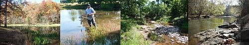 Water Quality