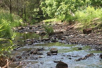 Rocks along Young's Branch stream Rocks along Young's Branch stream
