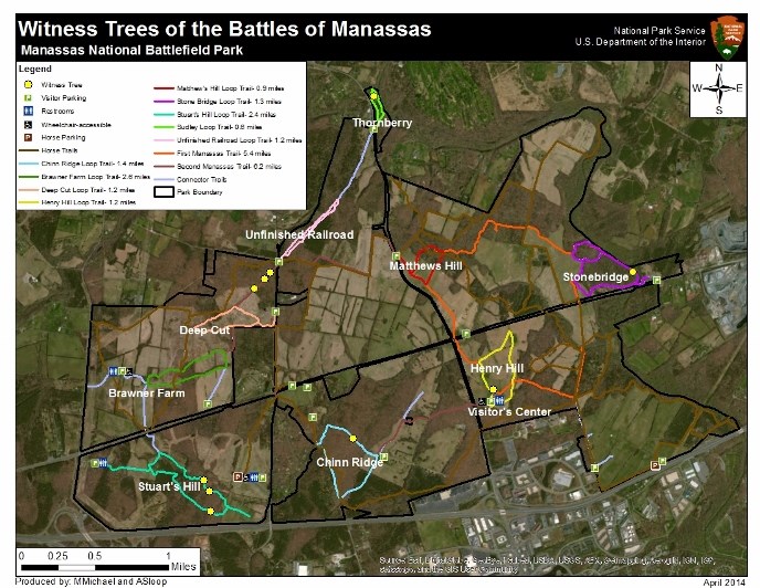 Map of Witness Trees in the Battlefield