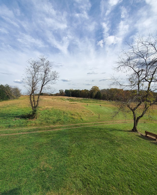 Picture of the fields at the Brawner Farm. The sky is blue and streaked with clouds. The field is green and trees are bare.