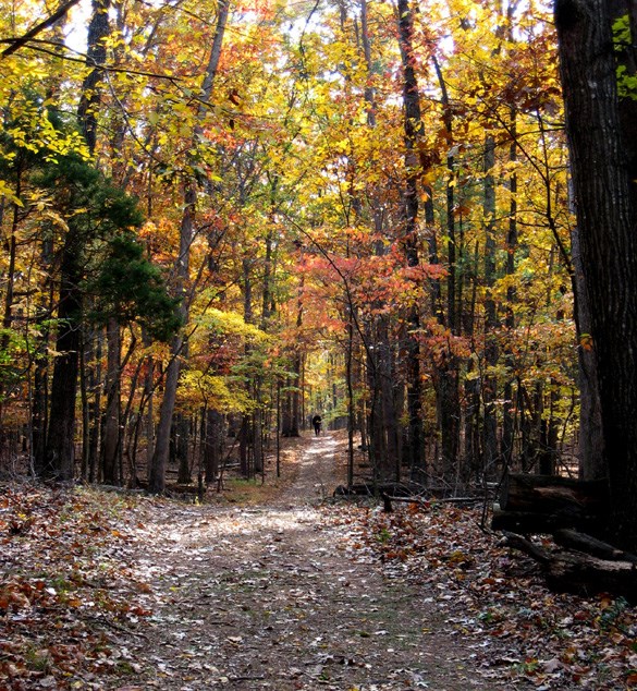 Hiking Trails at Manassas | Civil War Sites