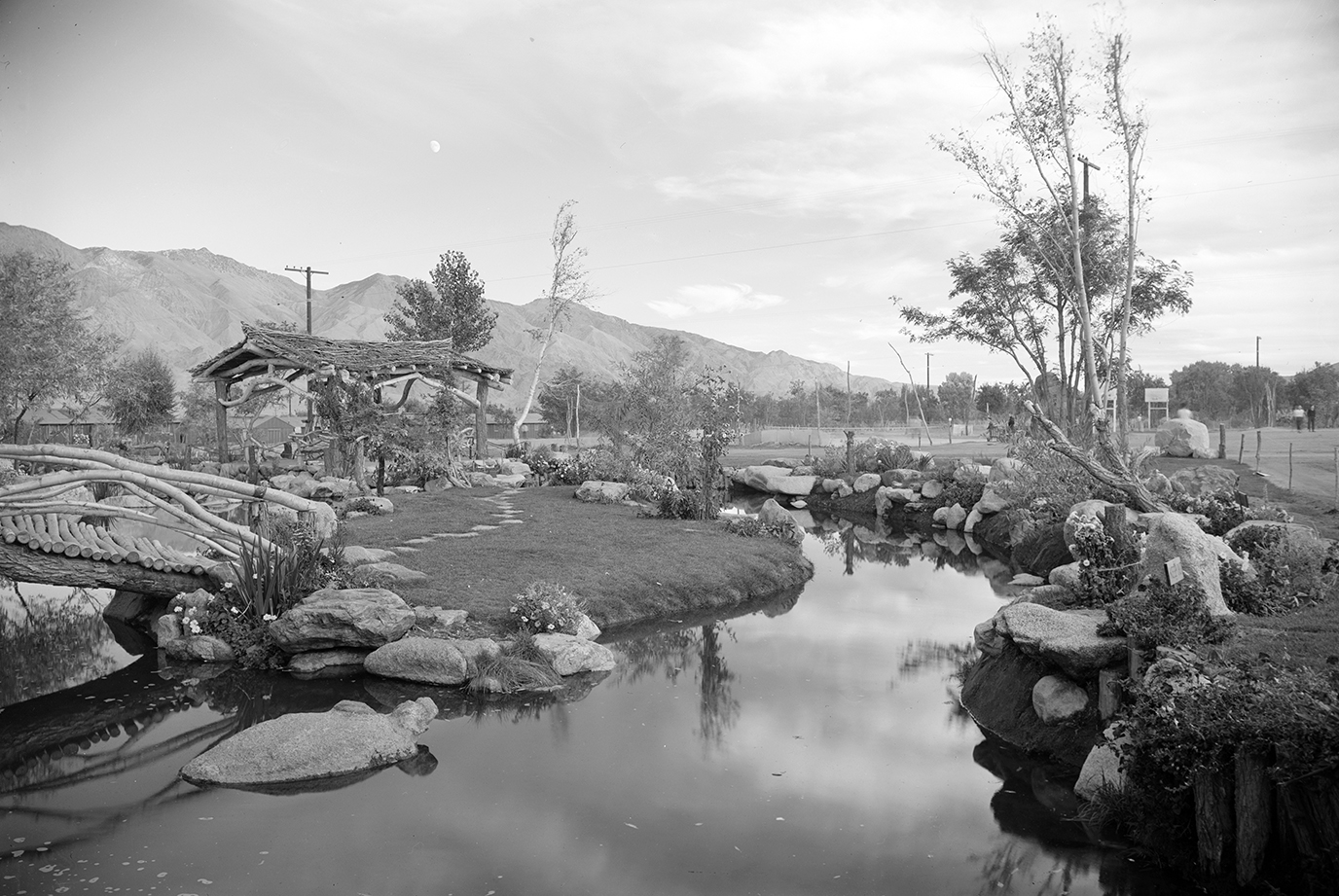 black and white photo of pool surrounded by stones and vegetation
