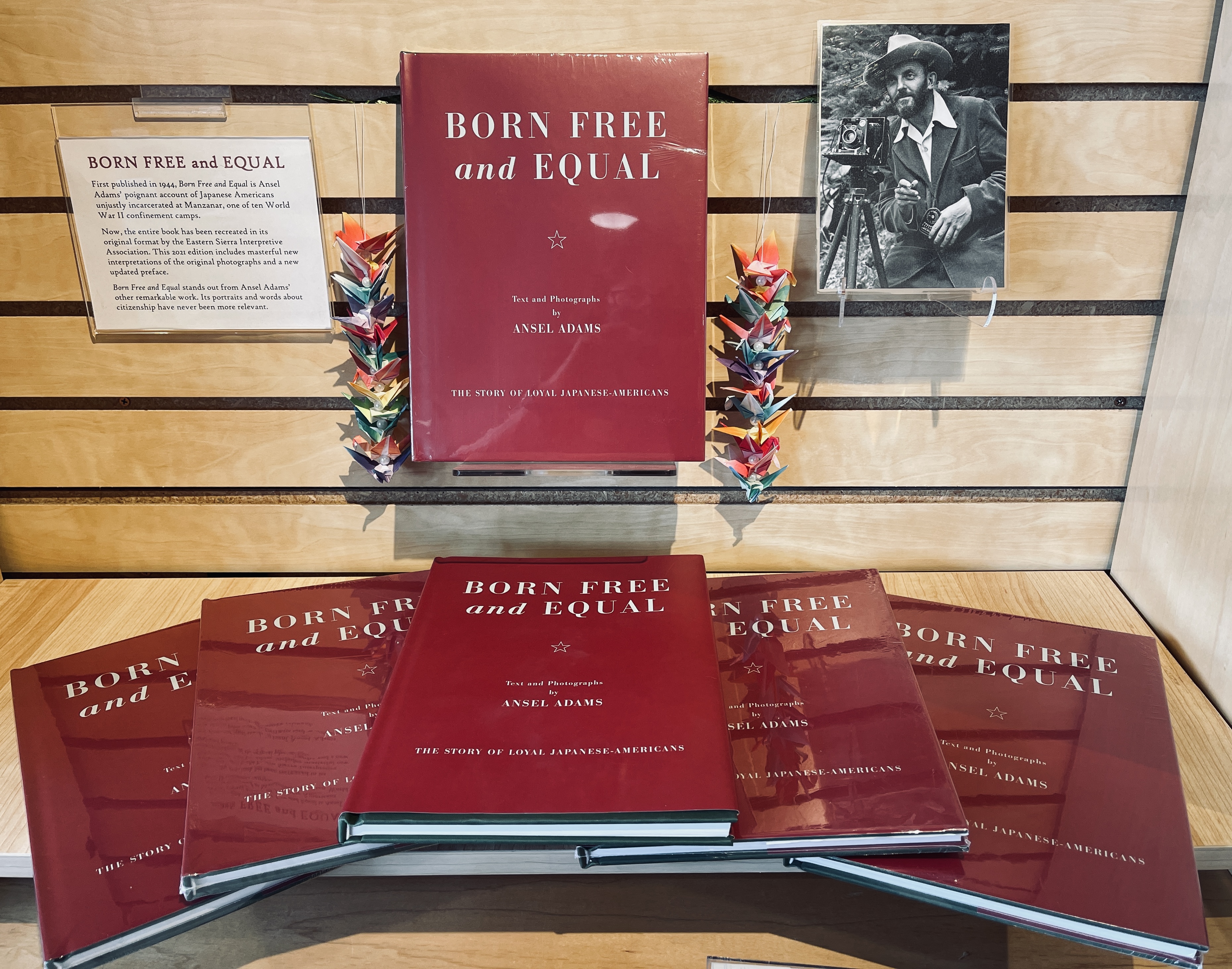 Born Free and Equal books and cranes books and cranes on a table