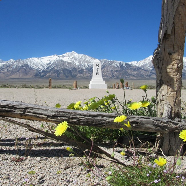 Cemetery monument with yellow flowers in foreground