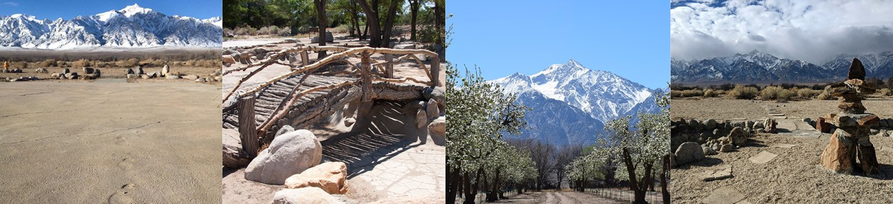 Four images in a row: concrete slab with footprints, log bridge, orchard, rock stack