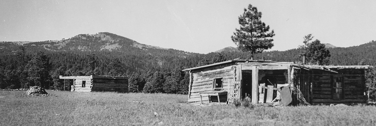 Black and white photo of a log house in a grassy area.