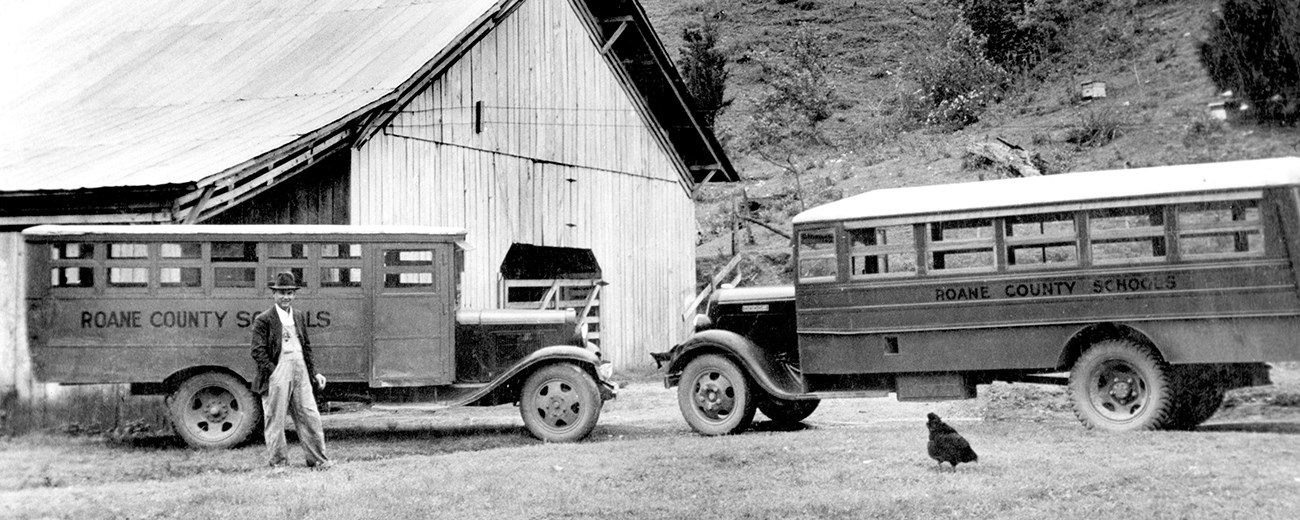 Black and white photo of two buses by a barn with a person to the side and a chicken in front of a bus.