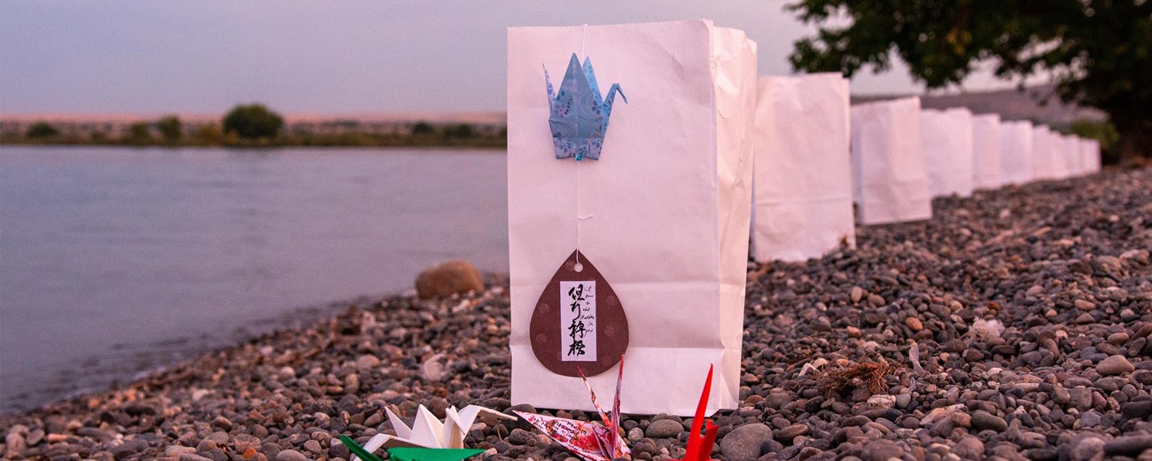 White paper bags and origami sandhill cranes along the edge of a river.