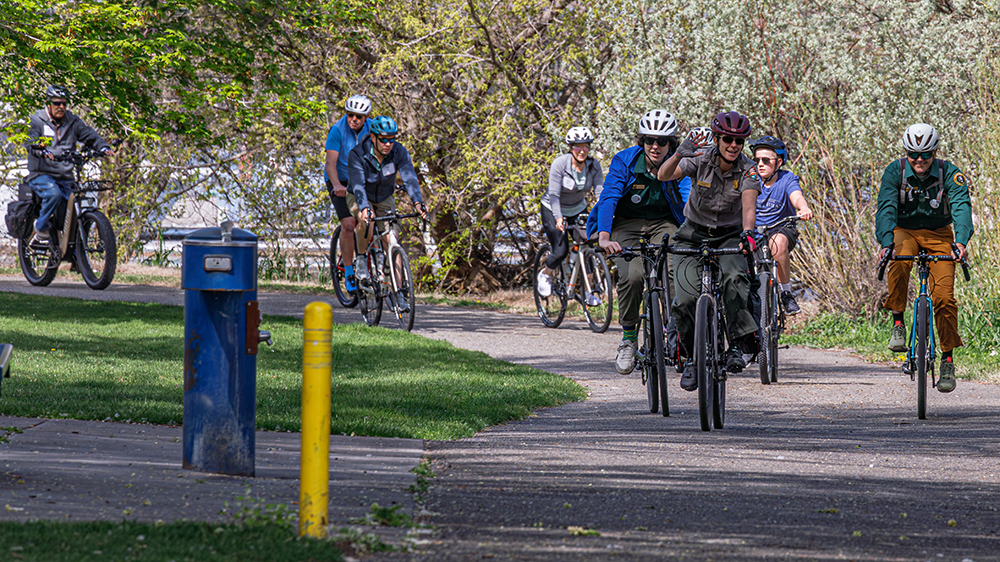 10 adults wearing helmets on bikes ride along a paved path lined with trees.