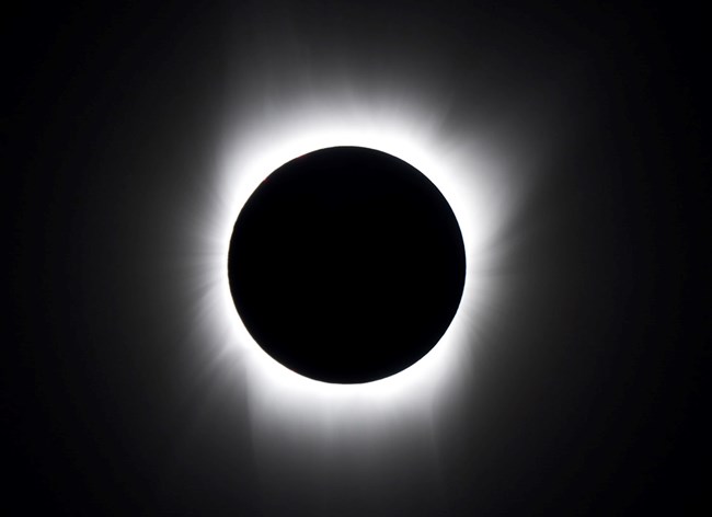 Sun's corona at totality