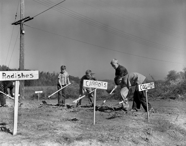 Children use hoes to plow a garden plot.