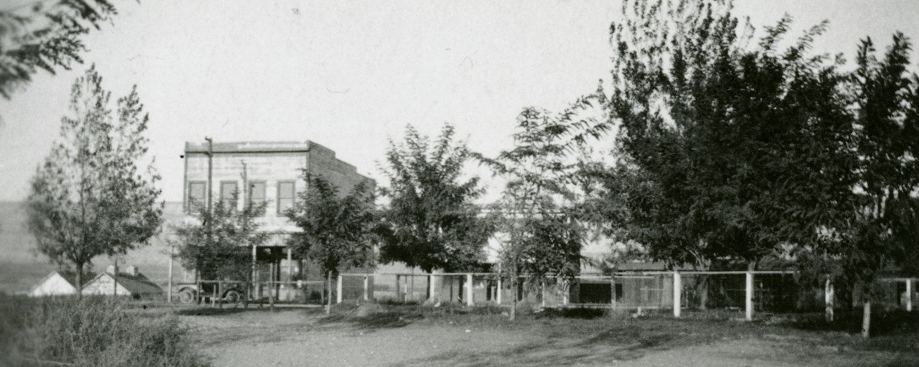 Black and white photo of a small tree-lined street with a few wooden buildings.