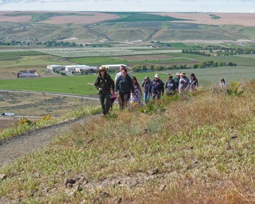 A group of people walk up a dirt path with an aerial view of a city in the background.