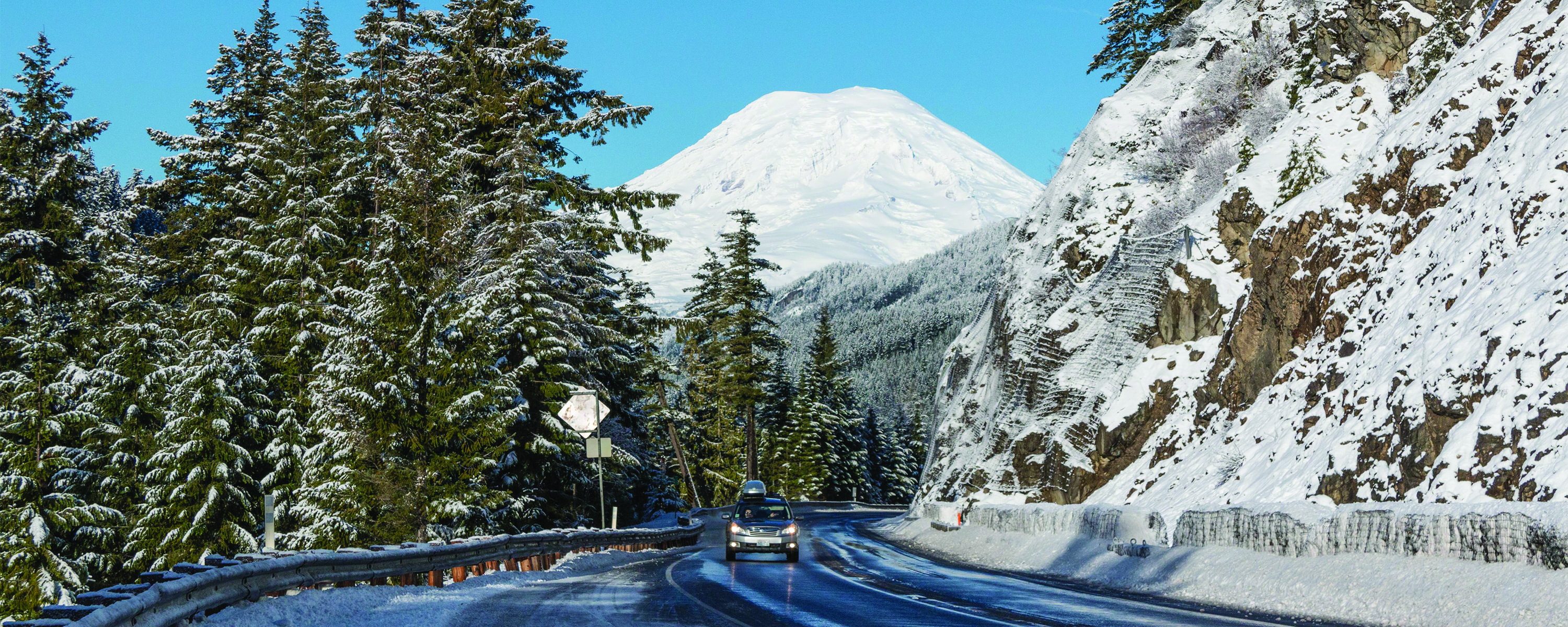 Color photo of snow-capped mountain with evergreen trees in front.