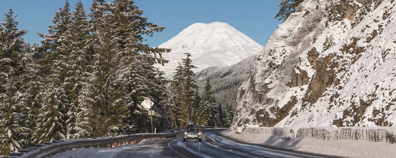 Color photo of snow-capped mountain with evergreen trees in front.