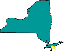 New York outline