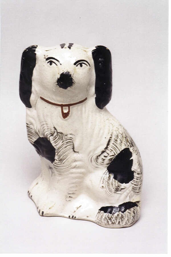 Yorkshire dog