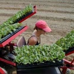 A farmer harvesting crops on a modern farm