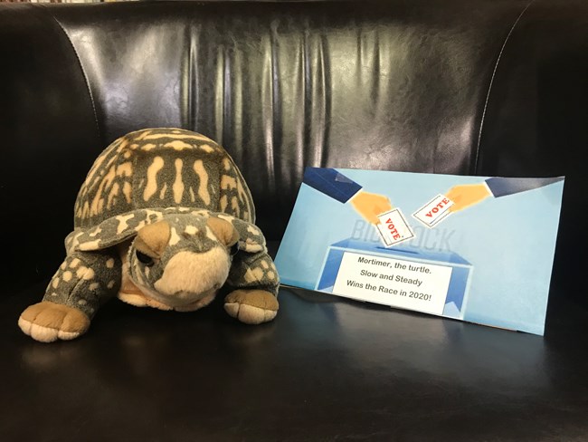 A stuffed turtle with a sign reading "Vote Mortimer - Slow and Steady Wins the Race!"