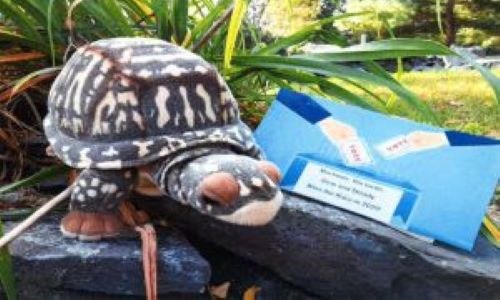 A stuffed turtle sitting in the grass on a rock